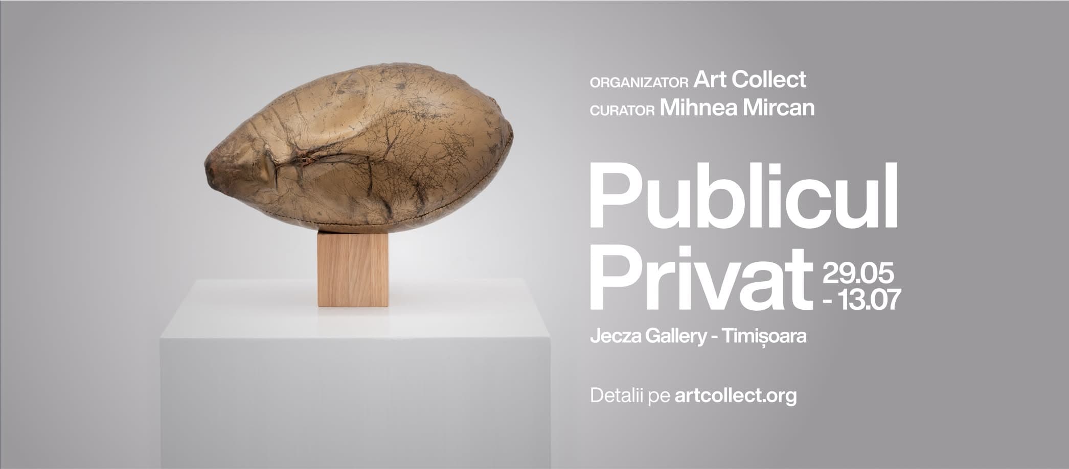 Publicul Privat 29 Mai 13 Iulie