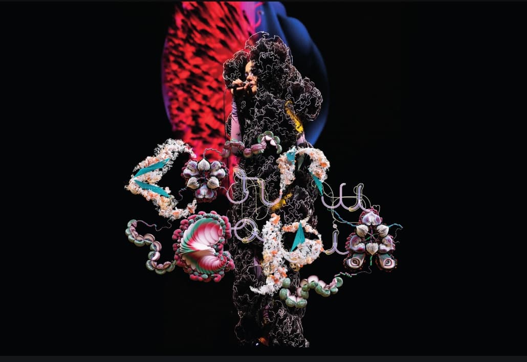 Bjork Cornucopia  11 Mai