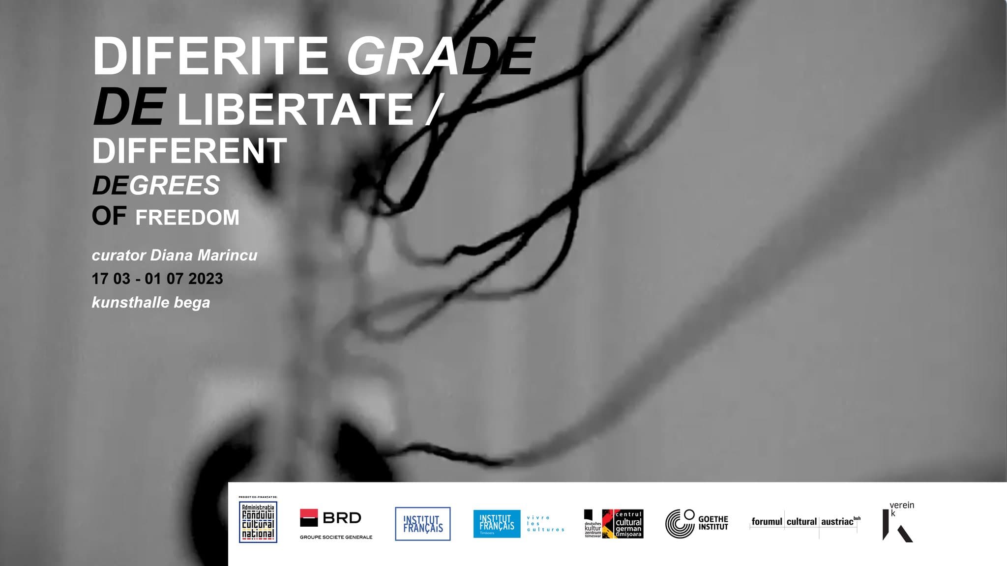 129 Kunsthalle 17 03 01 07