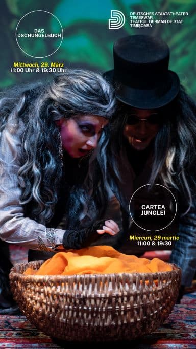143 29 03carteajunglei Martie
